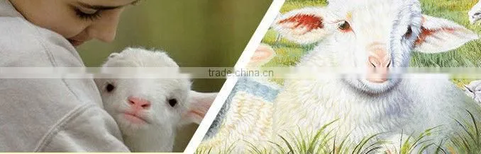 NEW!!! 100% dyed merino sheep wool 19.5-26.5mic & 30-50mm, any dyed colors