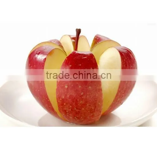 Red delicious variety and common cultivation type red delicious apple