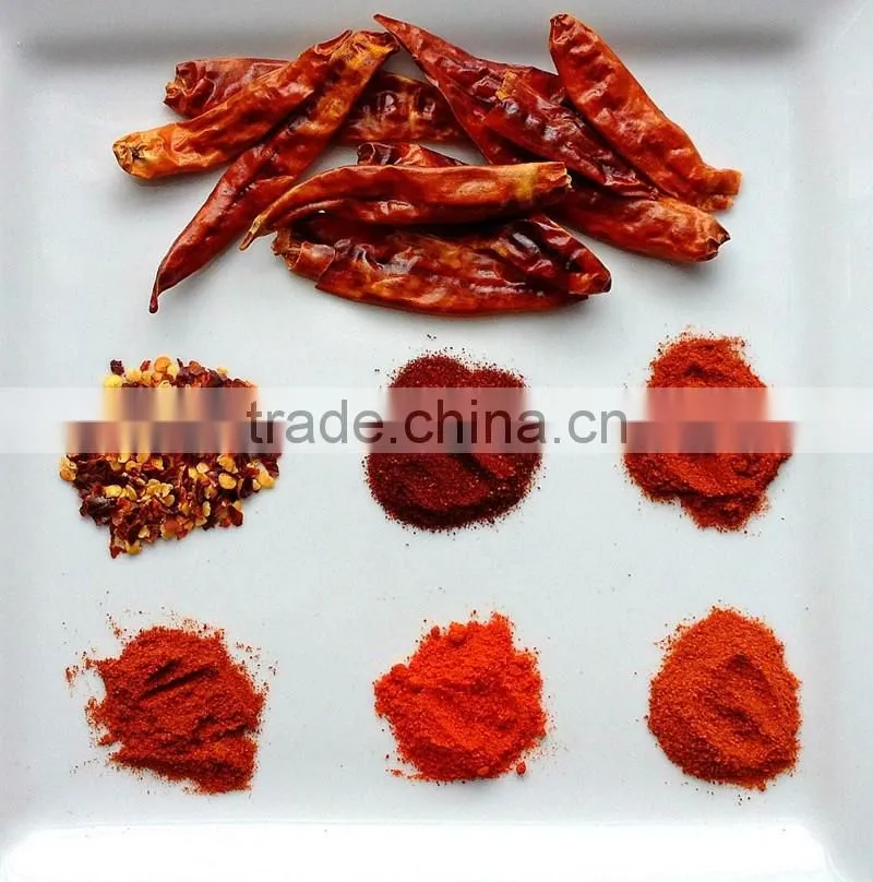 Dry red sweet paprika powder ground