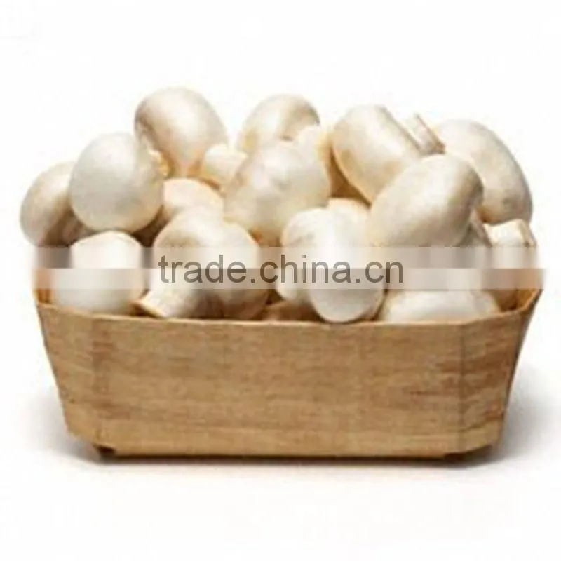 bulk package China dried shiitake mushrooms