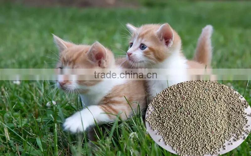 Colored Cleaning Bentonite Cat Litter