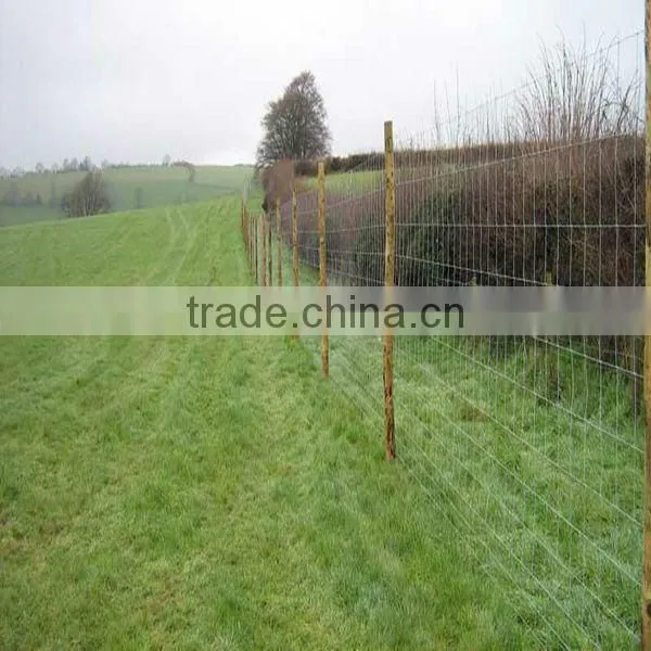 cattle fence design/farm fencing/farm gate design