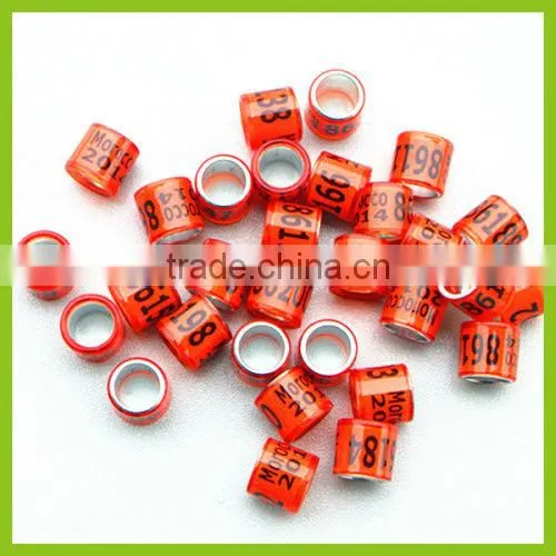 Green Color 8mm Wonderful Rings Bands Pet Pigeon Birds