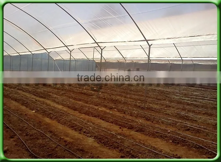 Multi-span Greenhouse low cost greenhouse agricola for Africa