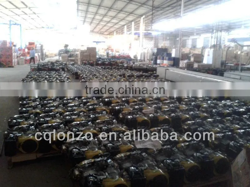 HP6.5 HP7 HP9 HP13 GX160 GX200 GX220 GX270 170F 168Fgasoline engine