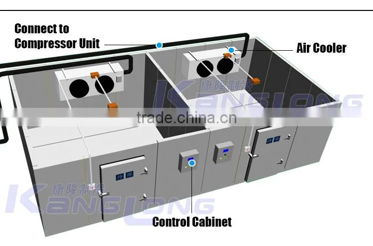 Hot Selling New Technology Container Cold Room
