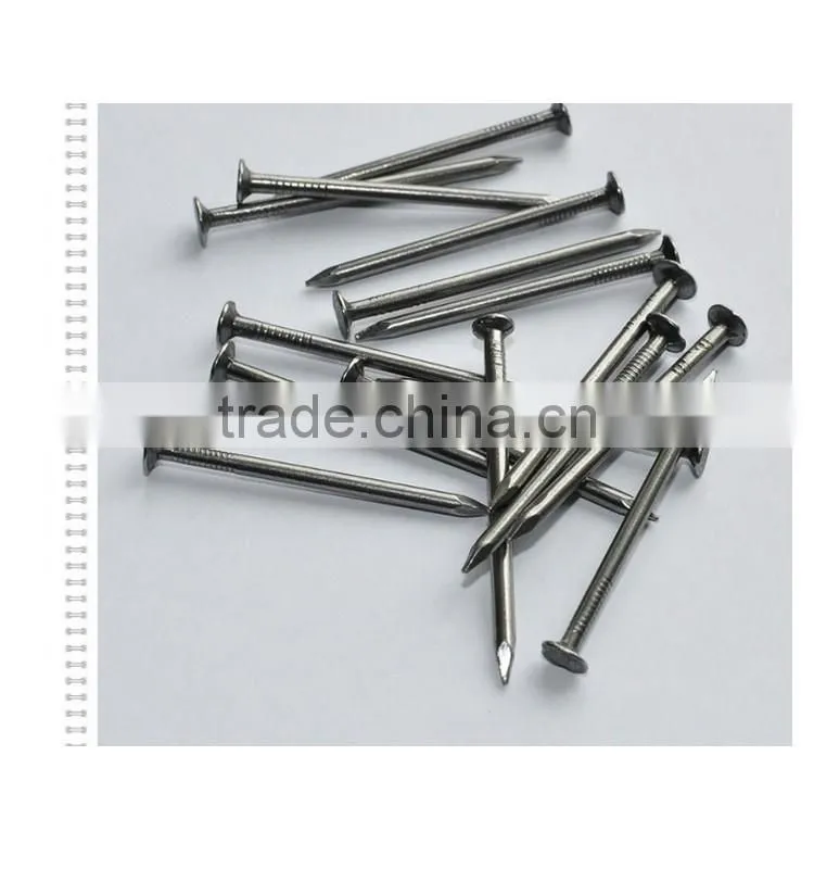 Best selling Polished Common Nails with Loose Package from china supplier