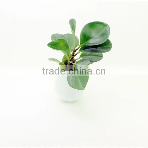 For 2015 promotional gift mini eggshell flower pot plastic injection mould parts