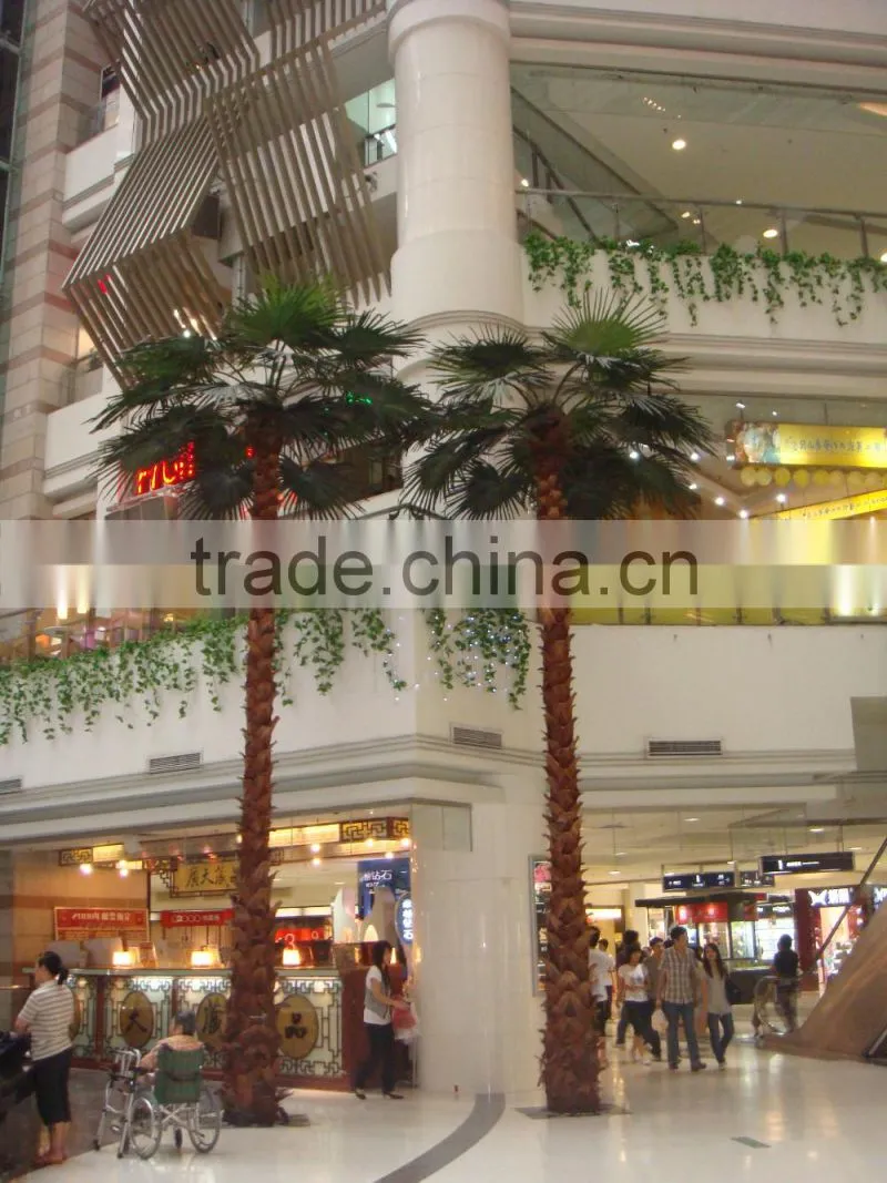Evergreen palm trees for decoration