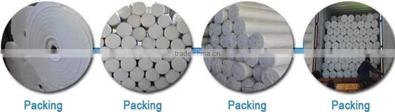 Low price high quality Landfill Drainage Filter Polyester Filament Non Woven Geotextiles