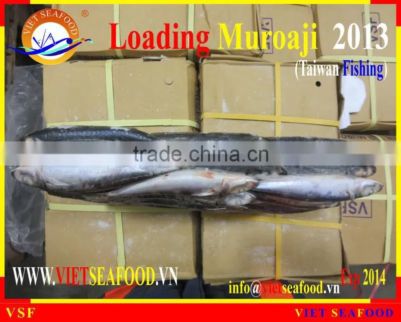 LOADING MUROAJI FOR TUNA BAIT