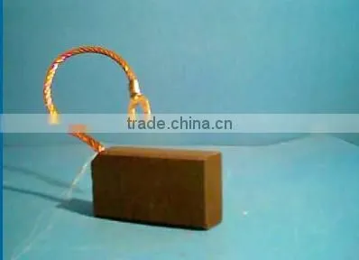 carbon brush