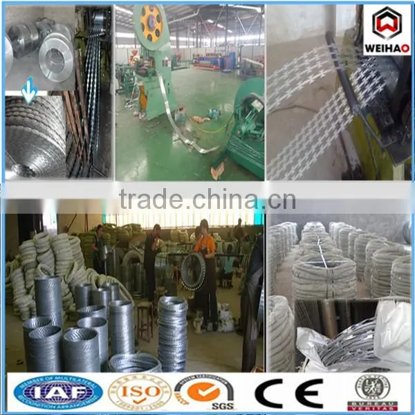 Concertina coil razor barbed wire 15 years manufacturer