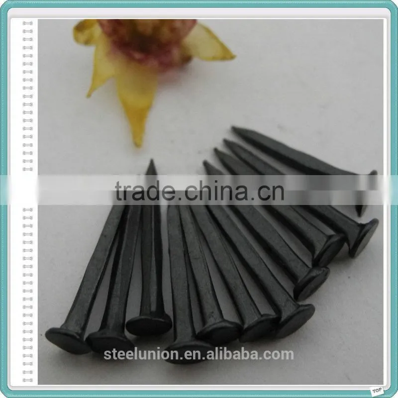 Shoe tacks Nail