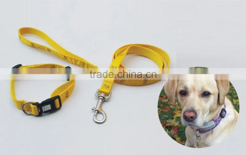 dog collar pet products