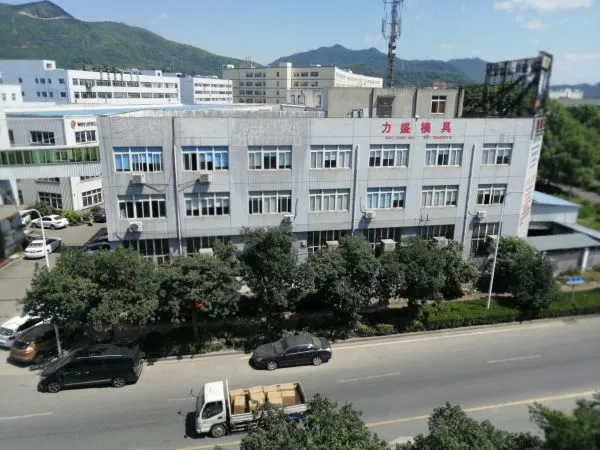 Taizhou Huangyan Lisheng Mould Co.,ltd. company overview - view 1