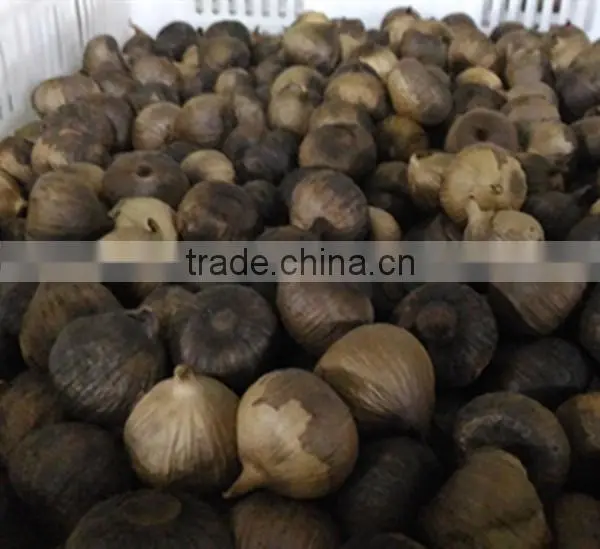 Good Quality Black Garlic