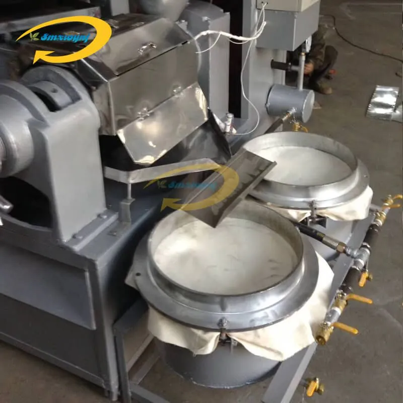 automatic oil press (3)