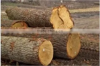 Handle wooden comb wholesale
