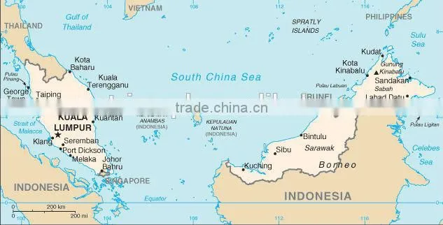 DDP/DDU Shipping Sea Freight from China to Malaysia (Skype:cargosalesb)