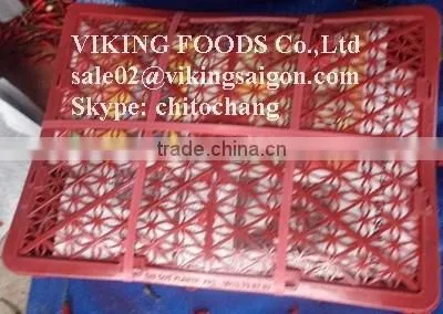 SMALL CHILI HIGH QUALITY FROM VIETNAM