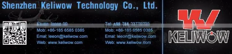 Keliwow Best Selling High Speed RC Car Racing Truck Models 4WD 1:12