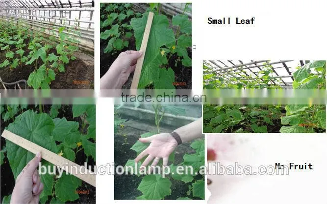 UL approved red phospor induction grow lamps