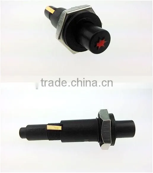 Electronic Gas Igniter Lighter
