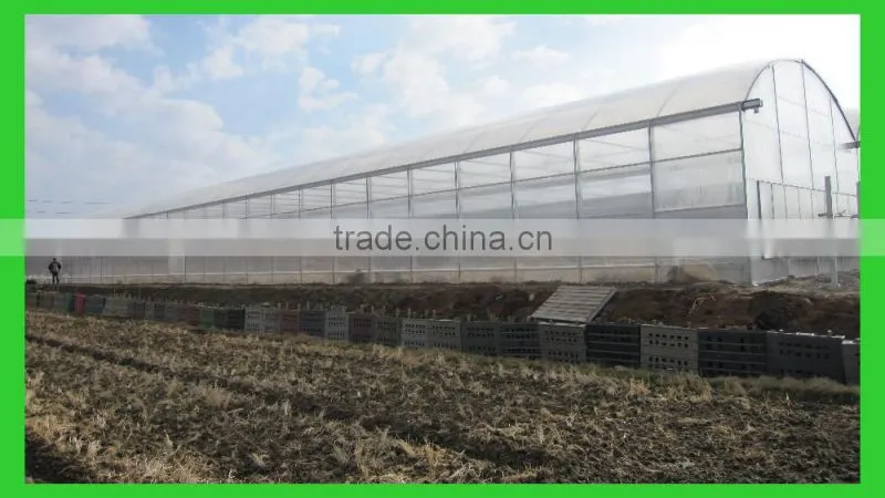 Export to Japan agriclutural Polycarbonate greenhouse