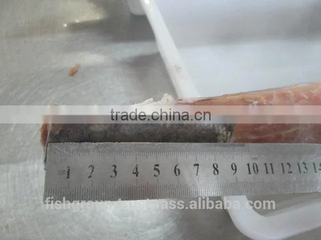 YELLOWFIN TUNA LOINS WITH ONE INCH SKIN PATCH