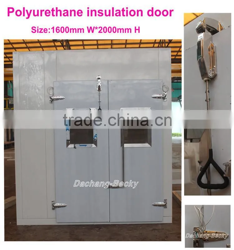 polyurethane cold room refrigerator and freezers with compressor