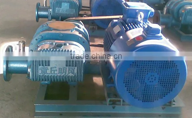 High pressure roots blower