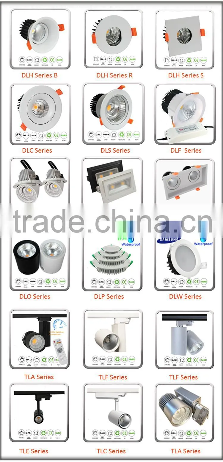Track Rail Lamp 100LM/W 97Ra COB LED Track Light 30W 35 Watt With Philips Driver 5 Years Warranty