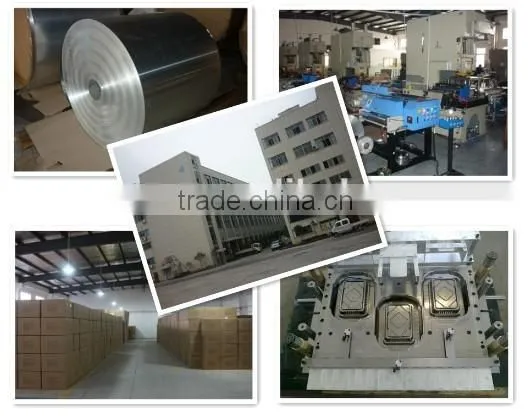 Disposable Aluminium Foil Mat for Oven and Gas