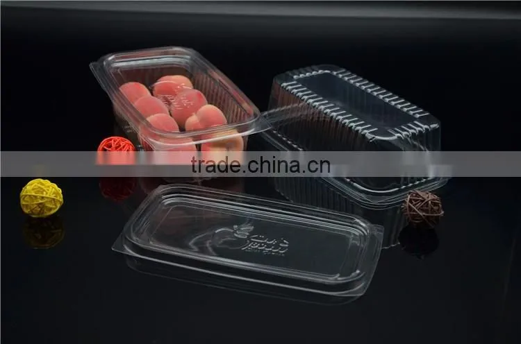 hot-sale plastic blister sushi container