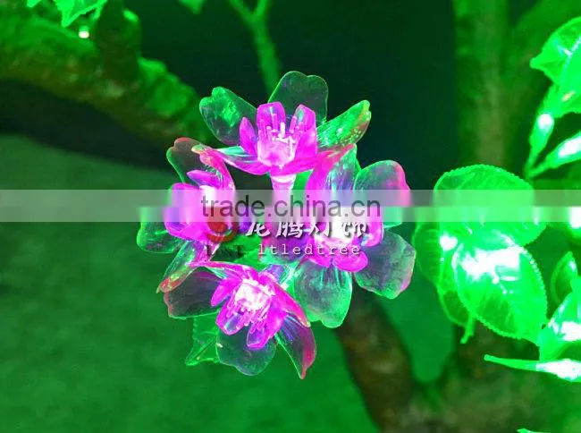 bonsai flowering cherry tree