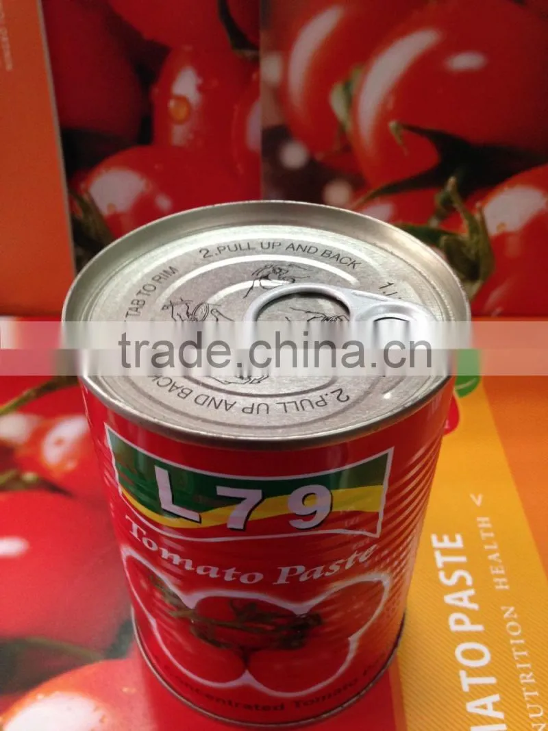 manufacturer 28%-30% natural canned china tomato paste 800g tin factory double concentrated
