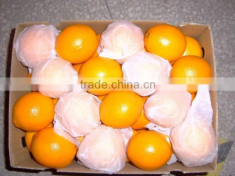 China Navel Orange