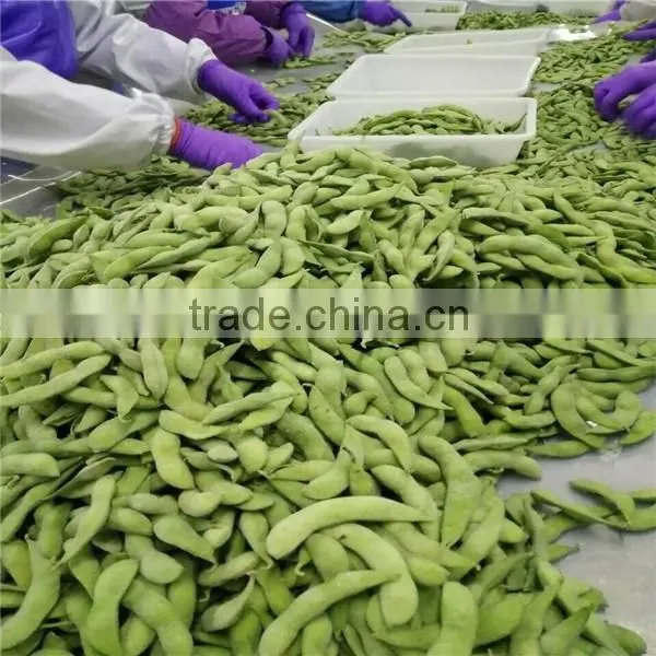 2016 New crop frozen soybean kernel