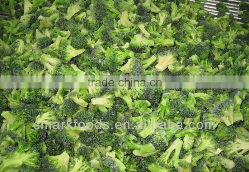 Wholesales clean fresh broccoli price