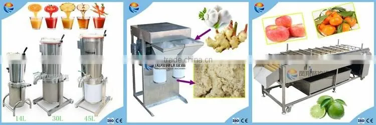 Automatic Small Size 220V Hotel Vegetable and Fruit Washing Machine with Good Price