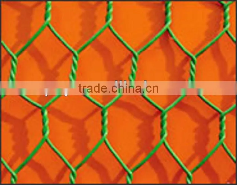 Hexagonal Wire Mesh/Gabion box/wire mesh container