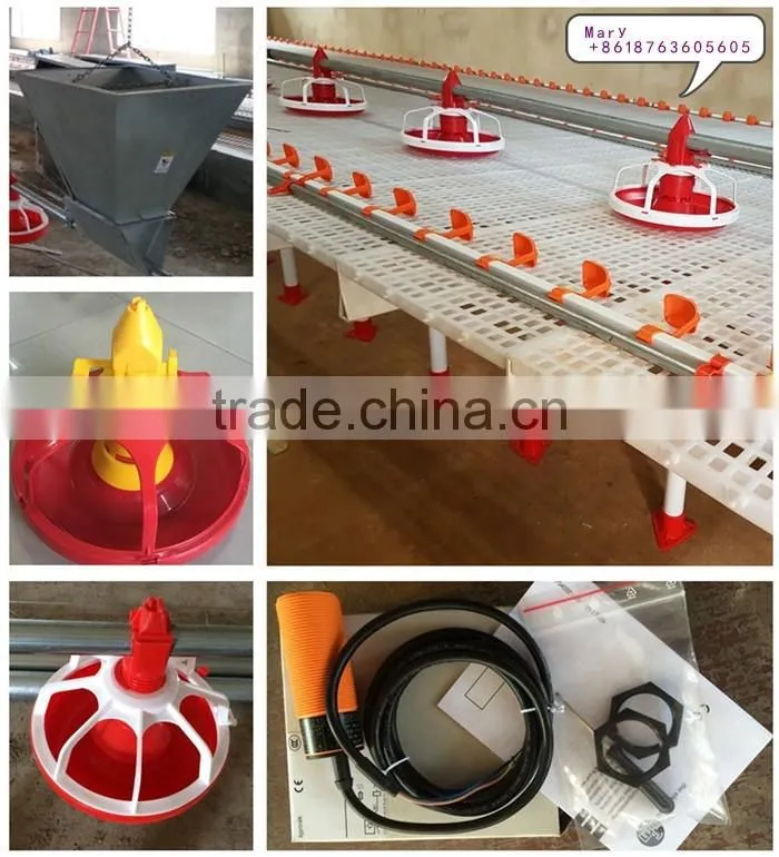 U-BEST full automatic poultry equipment for breeder chicken