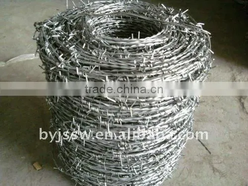 Galvanized Steel Coiled Barbed Wire ( Direct Factoty )