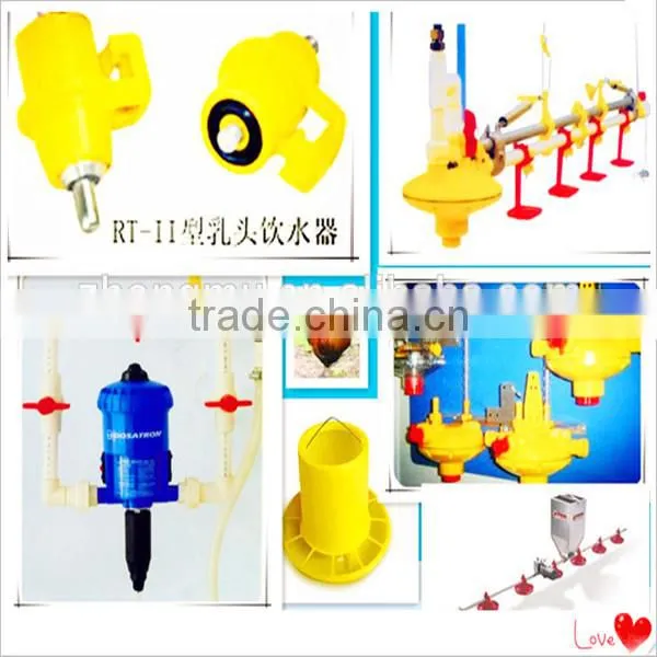 fully automatic chicken cage equipment for poultry farming