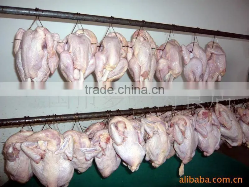 High Efficiency 500kg/h Stainless Steel Poultry Defeathering Machine