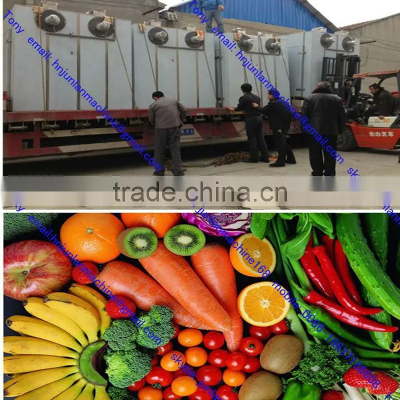 chicken dryer machine / potato dryer machine