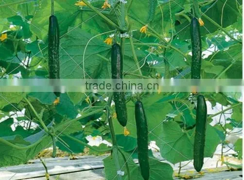 EU Market 8G/M2 Plant Support Net