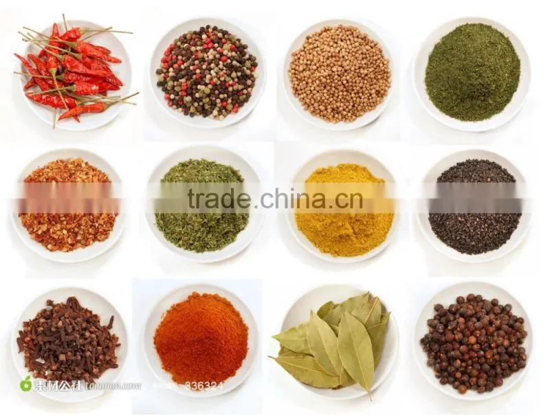 Best sale powder material screw elevator for flour