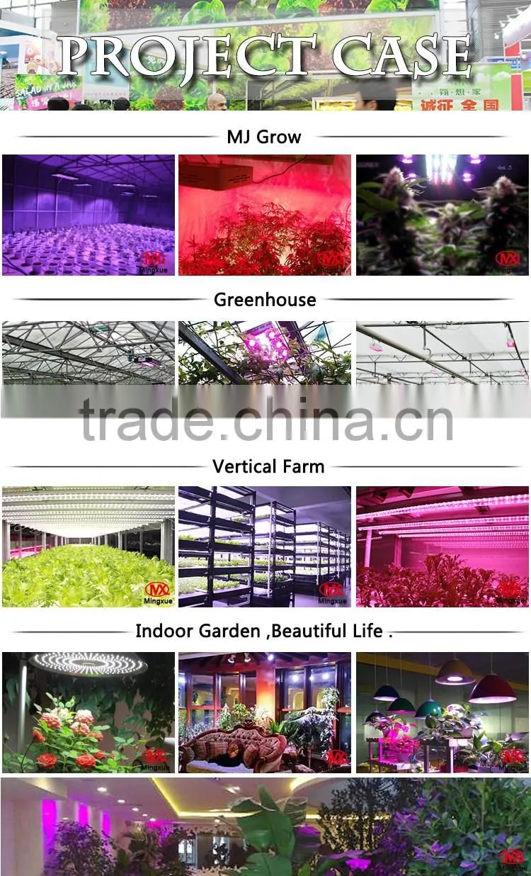 Usb Table Lamp LED Grow Light Mini LED Bulb Lights E27 LED Grow Light